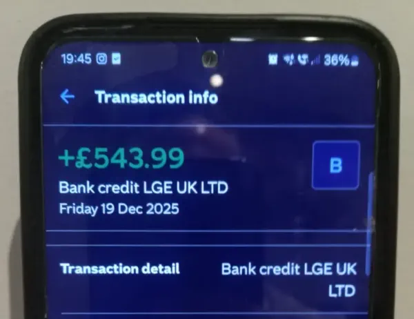 LG Electronics payment