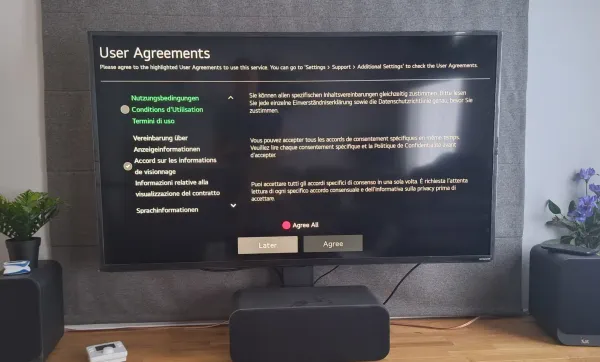 T&Cs in a foreign language